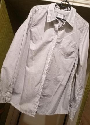 Брендовая, хлопковая рубашка, в меленькую полосочку. l.o.g.g.  label of graded guds