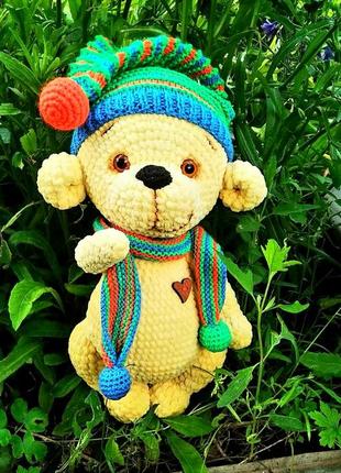 Сонячний ведмедик !