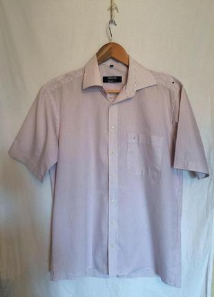 Шведка,рубашка, тенниска, короткий рукав, хлопок,eterna