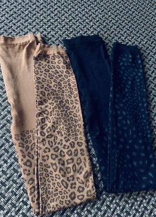 Корректирующие безшовные леопардовые лосины/леггинсы one size asos animal leo print.3 фото