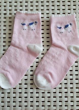 Шкарпетки(сіточка)3 фото