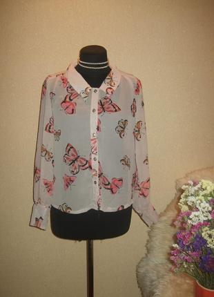 Шифоновая блуза в бабочки2 фото