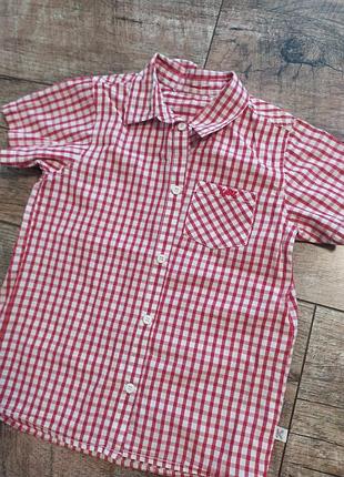Рубашка тенниска для мальчика
