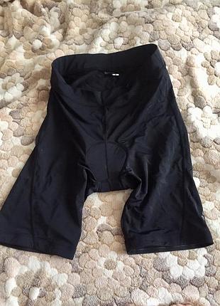 Велошорты everest