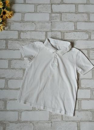 Футболка поло белая на мальчика george