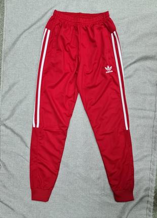 Спортивні штани adidas, червоні спортивні штани штани адідас унісекс тканина лакоста2 фото