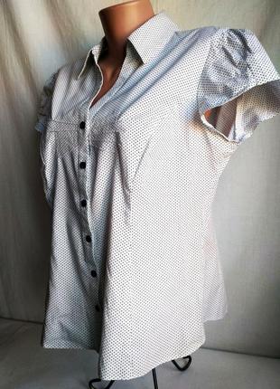 Блузка dorothy perkins, кофточка, хлопковая, летняя3 фото