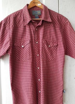 Спортивна сорочка поло