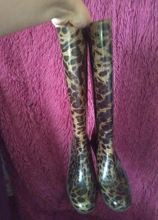 Гумові сапого