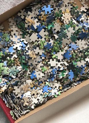 Castorland 1000 puzzle пазли2 фото