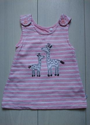 Сарафан bluezoo debenhams