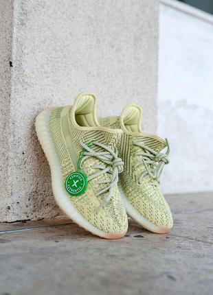 Женские кроссовки adidas hoodie yeezy boost 350 v2 antlia flats 36-37-38-39-40