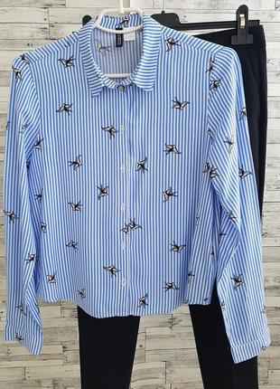 Сорочка в смужку h&m