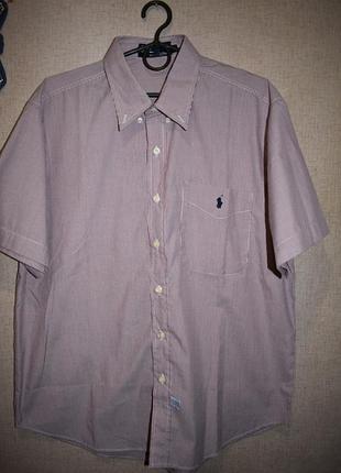 Сорочка в смужку з коротким рукавом polo