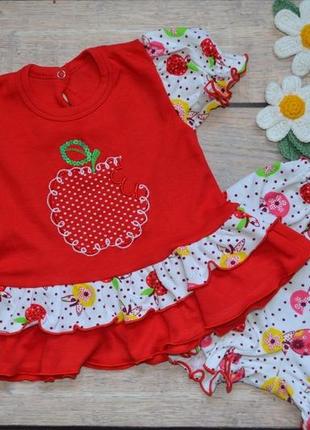 Чудовий бавовняний комплект з трусиками "полуничка" 62-68, зріст 68-74