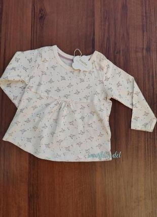 Кофта - блуза реглан на дівчинку lupilu 62-68