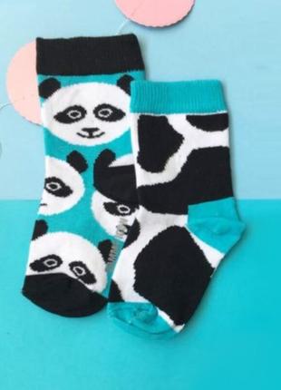 Детские носочки sammy icon stains бирюзовые с панда для всей семьи2 фото