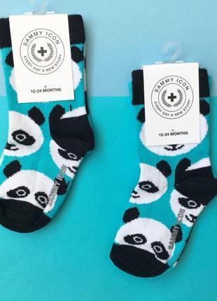 Детские носочки sammy icon stains бирюзовые с панда для всей семьи4 фото