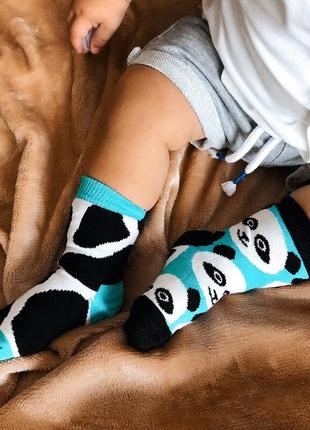 Детские носочки sammy icon stains бирюзовые с панда для всей семьи3 фото
