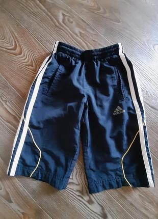 Шорты adidas