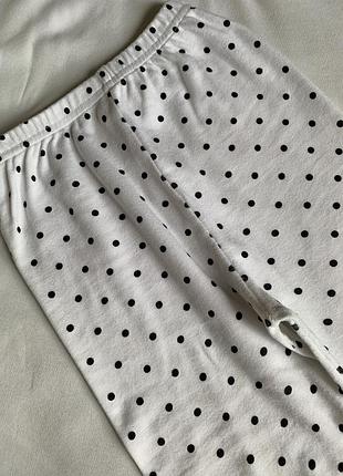 Лосіни лосини