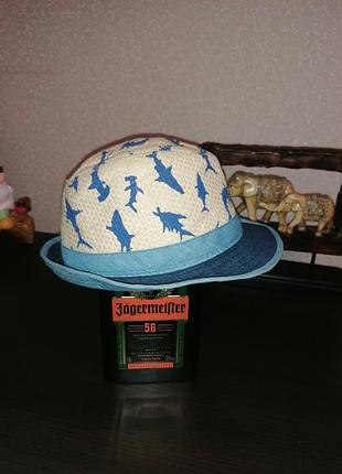 Кепка річна