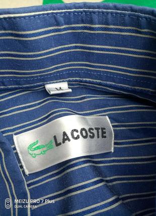 Легкая котоновая рубашка, шведка, тенниска lacoste оригинал6 фото