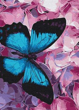 Картина по номерам бабочка на цветах браш1 фото