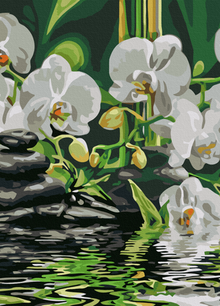 Картина по номерам спокойствие орхидей браш