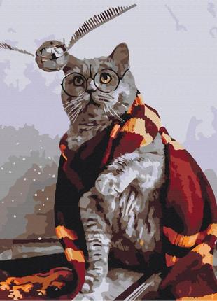 Картина по номерам котик гарри поттер ловец снитча браш