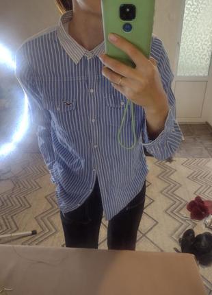 Hollister рубашка, тонкий хлопок размер м8 фото