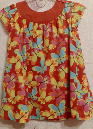 Красочное платье с принтом бабочки