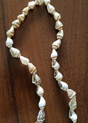 Бусы, ожерелье, украшение из ракушек
