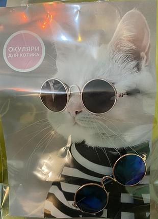 Окуляри коту