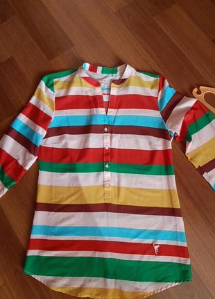 Блуза emily 36 розмір 5