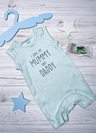 Пісочник c&a