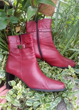 Шкіряні, вишневі напівчобітки