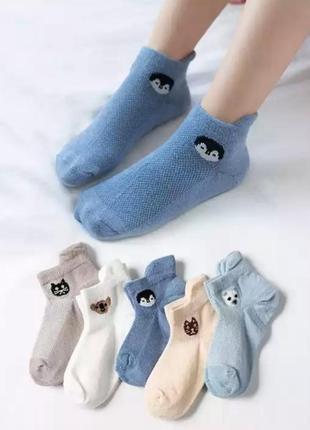 Носки (сеточка )