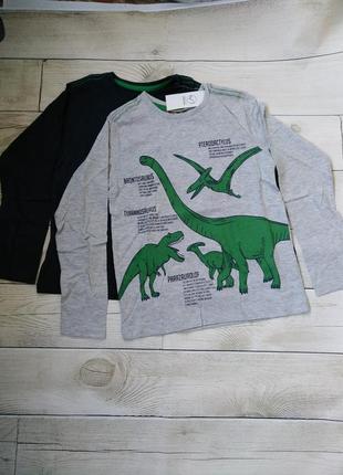 Реглан хлопчик 5-6 років