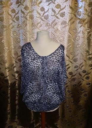 Блуза шифон