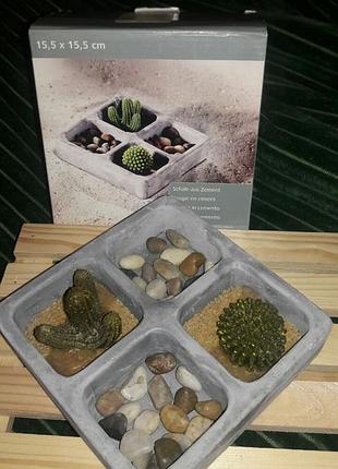 Декорація "кактуси з камінням" для інтер'єру