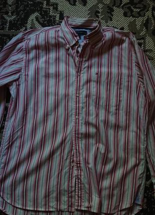 Брендова фірмова бавовняна сорочка сорочка tommy hilfiger,оригінал,розмір l.