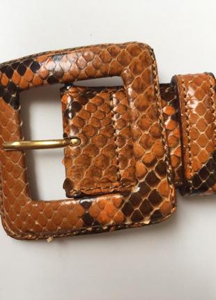 Шикарний брендовий ремінь зі шкіри рептилії змії2 фото