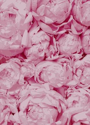 Картина по номерам нежность арс пионы