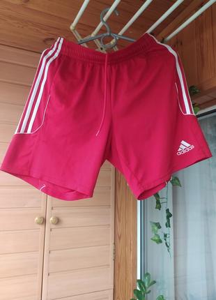 Спортивные шорты adidas. (stone island arcteryx napapijri tnf bape cp mastrum polo nike)