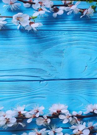 Фотофон виниловый