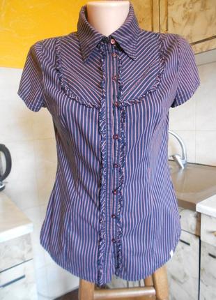 Блузка фиолетово-сиреневая eds