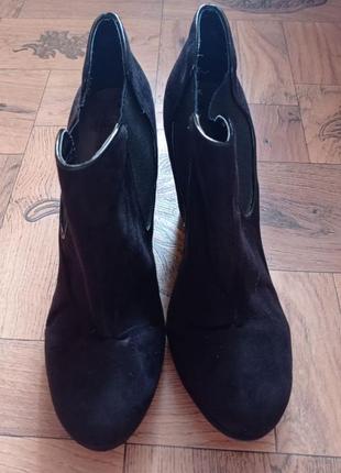 Півчобітки f&f (весна-осінь)