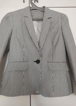 Жіночий піджак