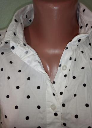 Блузка в горох хб коттон2 фото